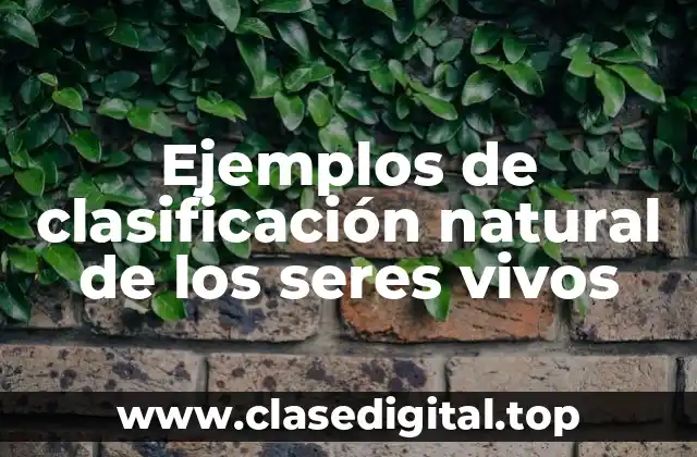 Ejemplos de clasificación natural de los seres vivos