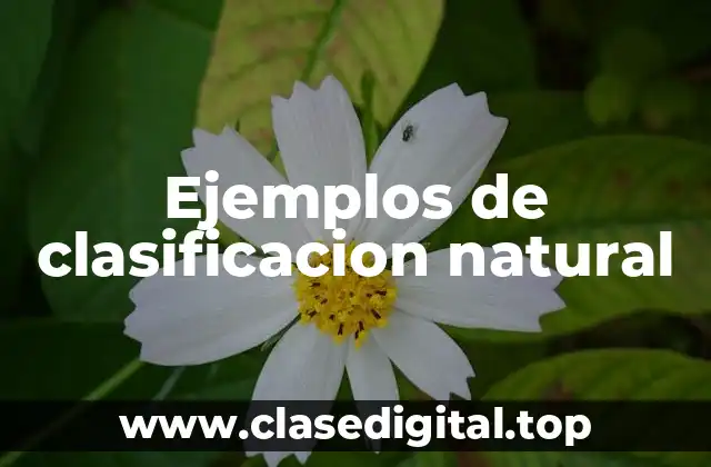 Ejemplos de clasificacion natural