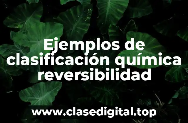 Ejemplos de clasificación química reversibilidad