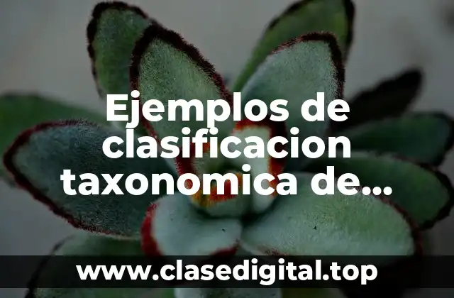 Ejemplos de clasificacion taxonomica de plantas