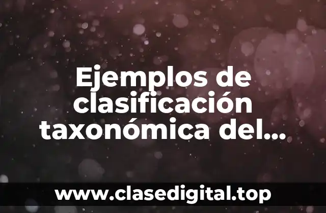 Ejemplos de clasificación taxonómica del reino vegetal