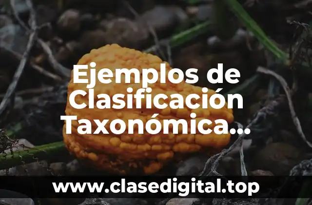 Ejemplos de Clasificación Taxonómica Unicornia Tomentosa