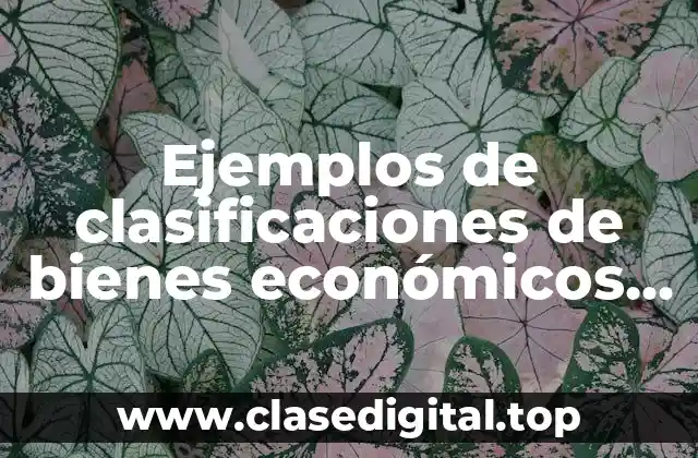 Ejemplos de clasificaciones de bienes económicos superiores