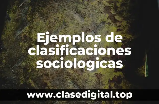 Ejemplos de clasificaciones sociologicas