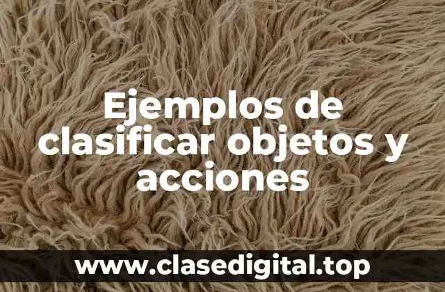 Ejemplos de clasificar objetos y acciones