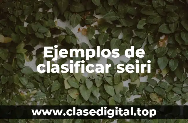 Ejemplos de clasificar seiri