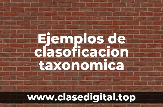 Ejemplos de clasoficacion taxonomica