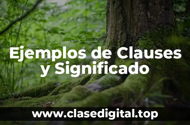 Ejemplos de Clauses y Significado