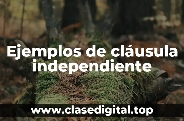 Ejemplos de cláusula independiente