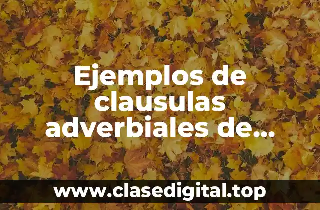 Ejemplos de clausulas adverbiales de relativo