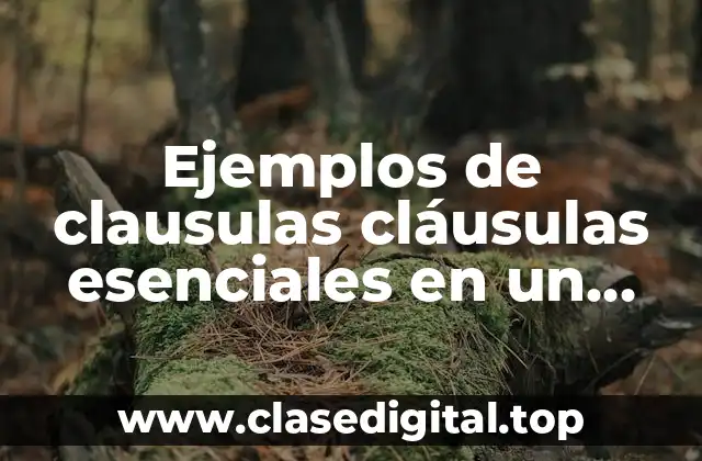 Ejemplos de clausulas esenciales en un contrato