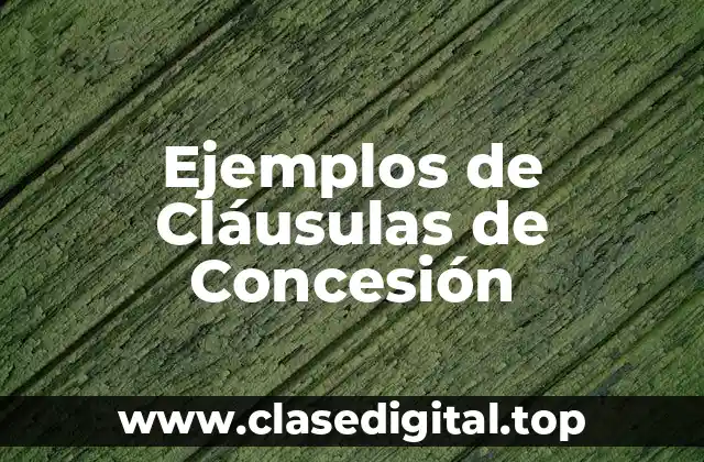 Ejemplos de Cláusulas de Concesión