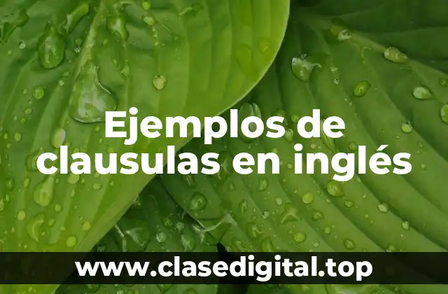 Ejemplos de clausulas en inglés