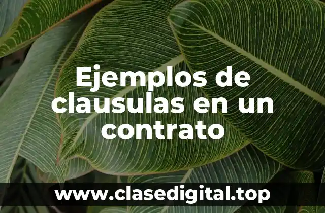 Ejemplos de clausulas en un contrato