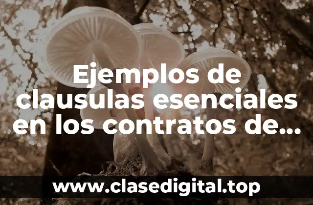 Ejemplos de clausulas esenciales en los contratos de obra