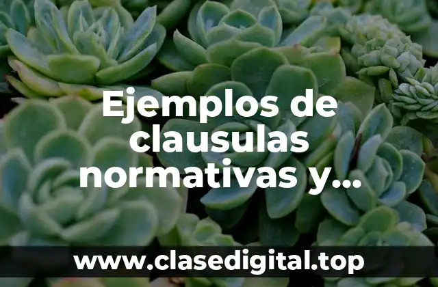 Ejemplos de clausulas normativas y Significado