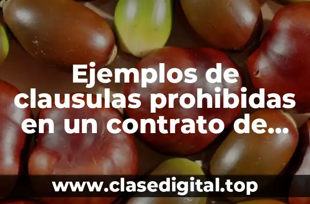 Ejemplos de clausulas prohibidas en un contrato de trabajo y Significado