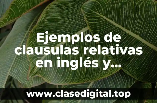Ejemplos de clausulas relativas en inglés y Significado