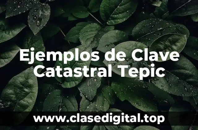 Ejemplos de Clave Catastral Tepic