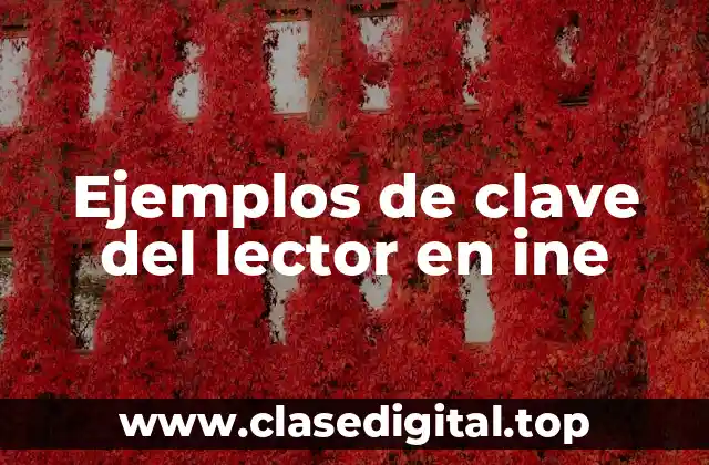 Ejemplos de clave del lector en ine