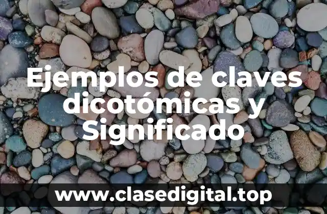 Ejemplos de claves dicotómicas y Significado