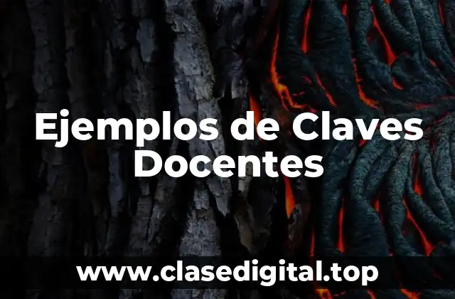 Ejemplos de Claves Docentes