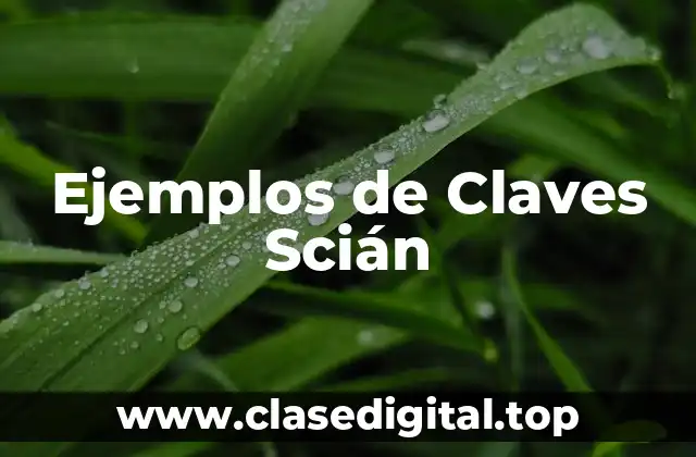 Ejemplos de Claves Scián