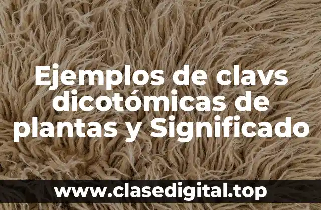 Ejemplos de clavs dicotómicas de plantas y Significado