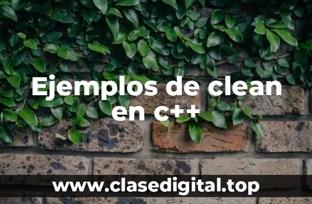 Ejemplos de clean en c++