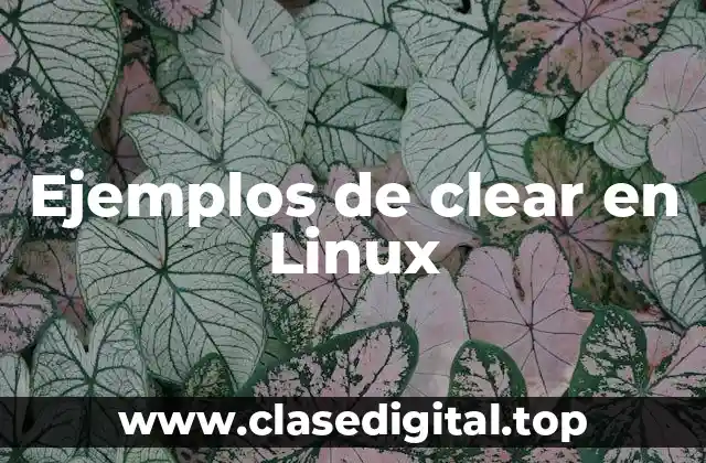 Ejemplos de clear en Linux