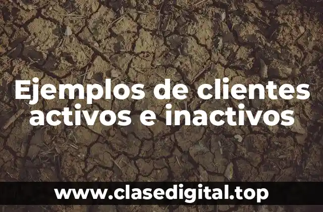 Ejemplos de clientes activos e inactivos