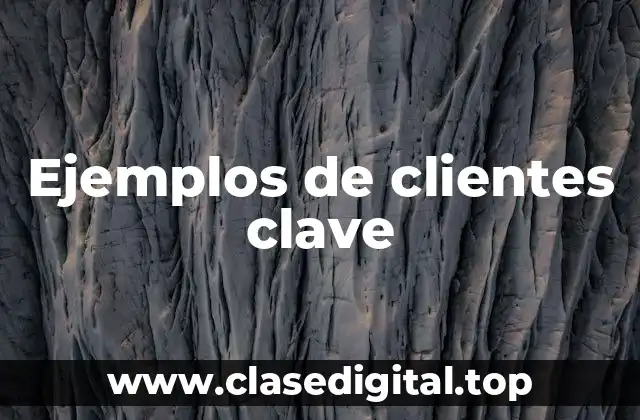 Ejemplos de clientes clave