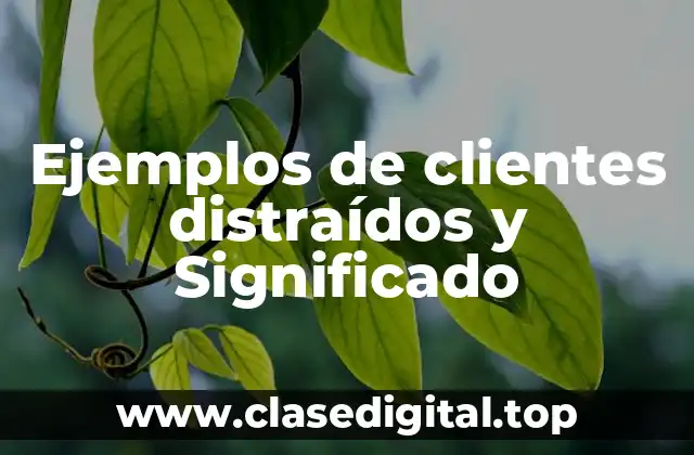 Ejemplos de clientes distraídos y Significado