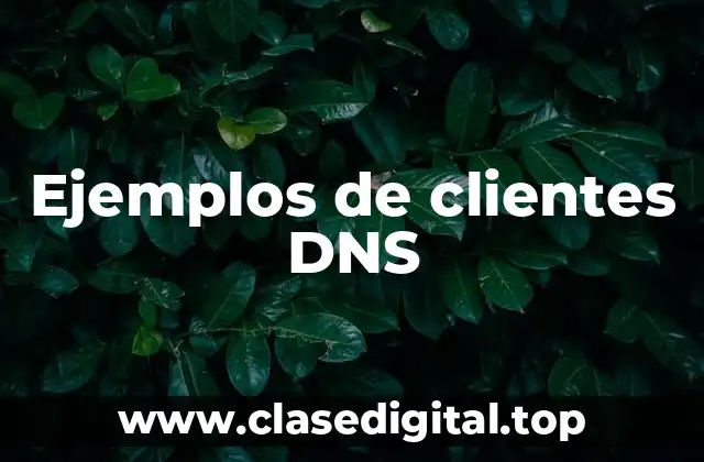 Ejemplos de clientes DNS