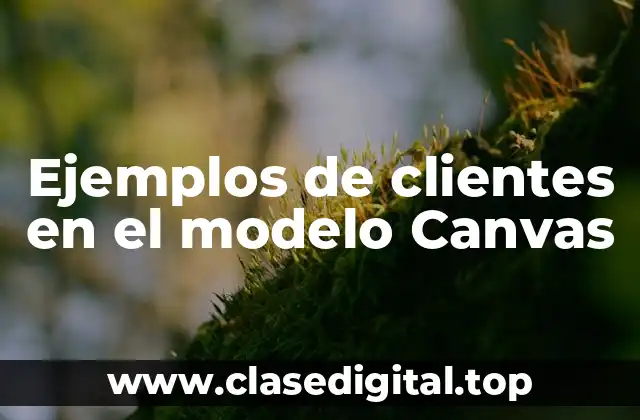 Ejemplos de clientes en el modelo Canvas