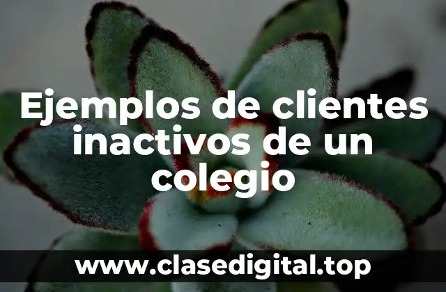 Ejemplos de clientes inactivos de un colegio