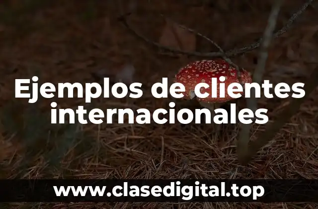 Ejemplos de clientes internacionales