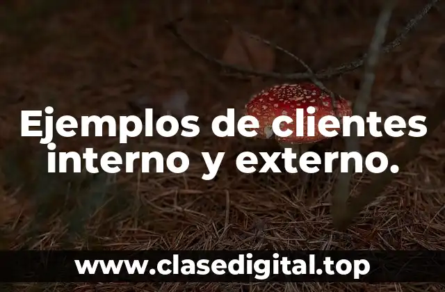 Ejemplos de clientes interno y externo.