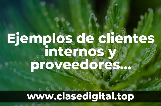 Ejemplos de clientes internos y proveedores internos