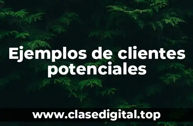 Ejemplos de clientes potenciales