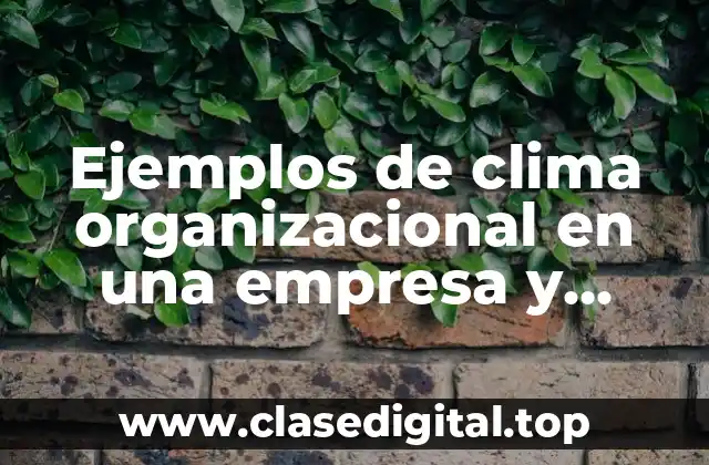 Ejemplos de clima organizacional en una empresa y Significado