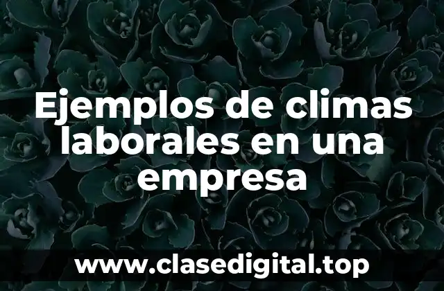 Ejemplos de climas laborales en una empresa