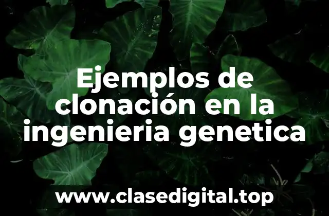 Ejemplos de clonación en la ingeniería genética