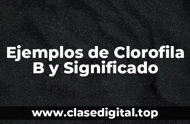 Ejemplos de Clorofila B y Significado
