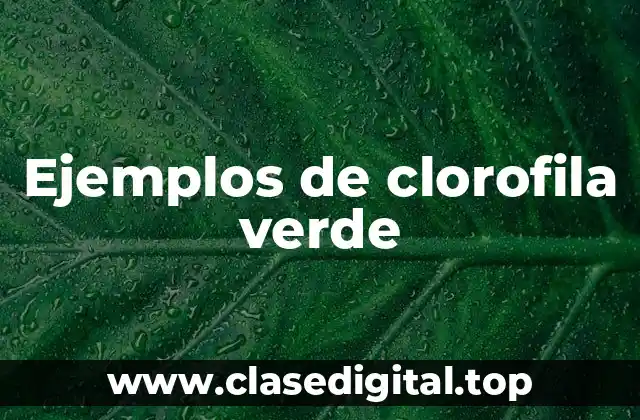 Ejemplos de clorofila verde