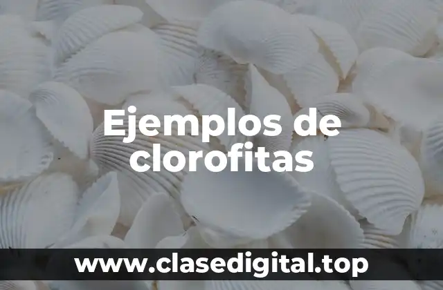 Ejemplos de clorofitas