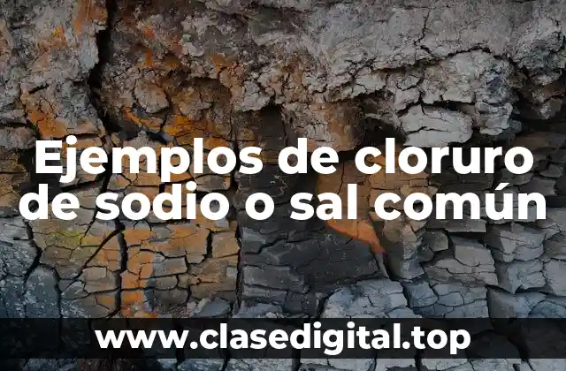 Ejemplos de cloruro de sodio o sal común