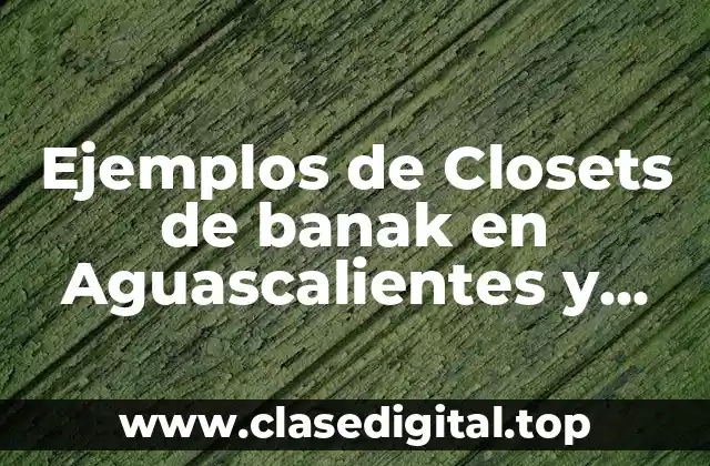 Ejemplos de Closets de banak en Aguascalientes y Significado