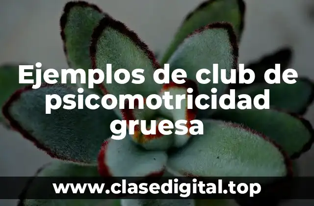 Ejemplos de club de psicomotricidad gruesa
