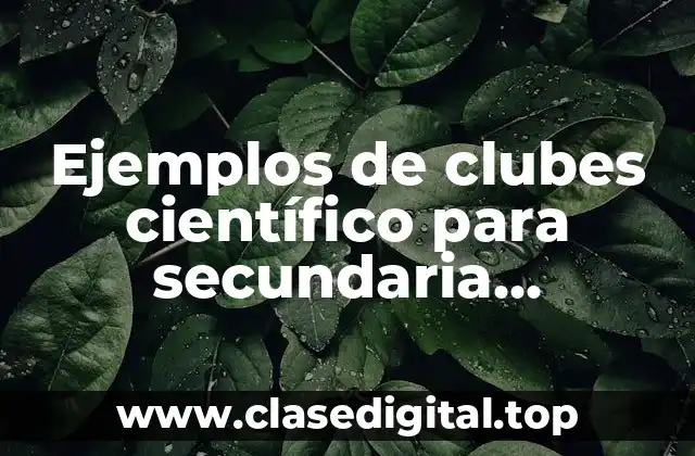Ejemplos de clubes científico para secundaria autonomia curricular y Significado